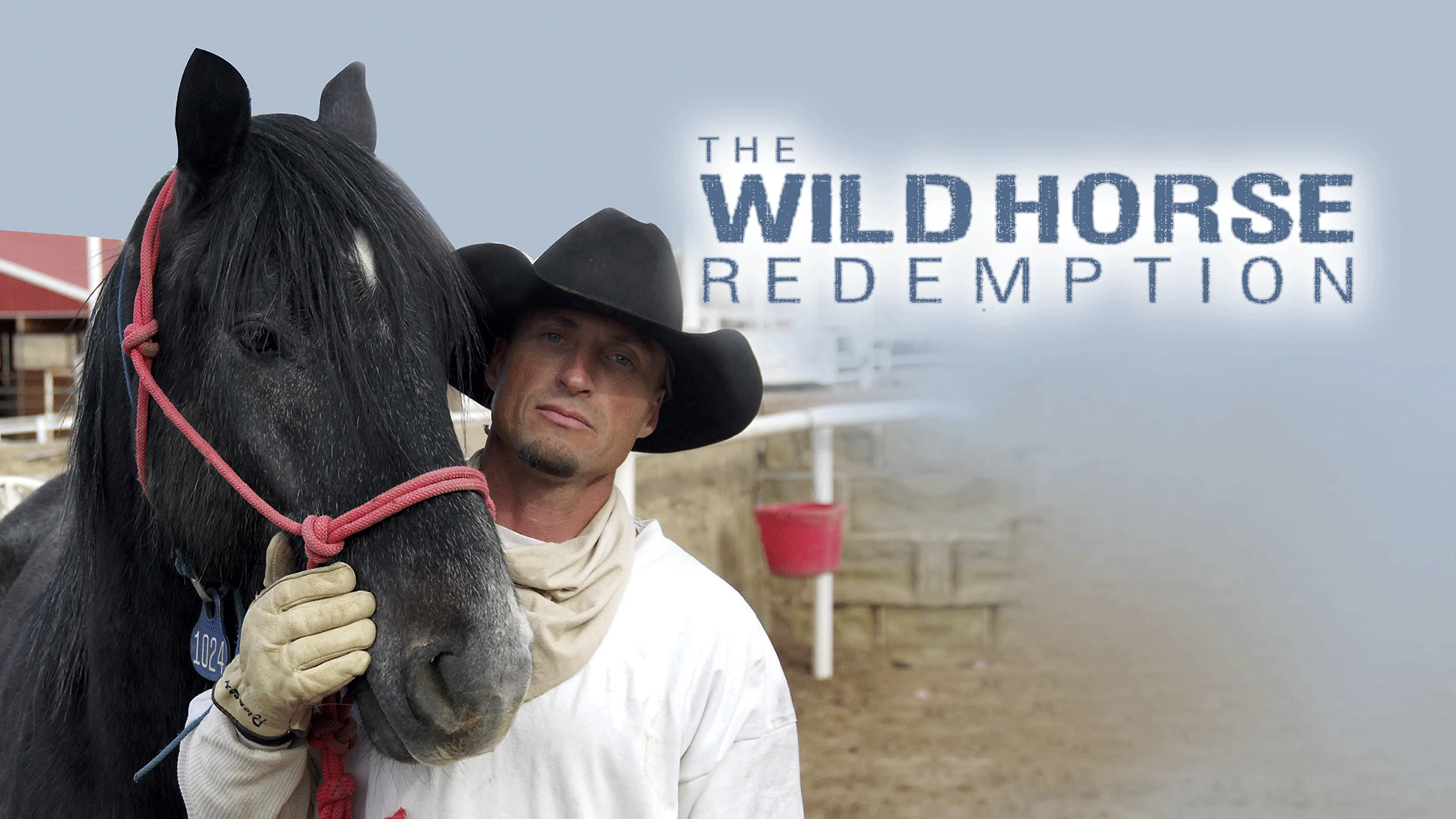 The Wild Horse Redemption poster